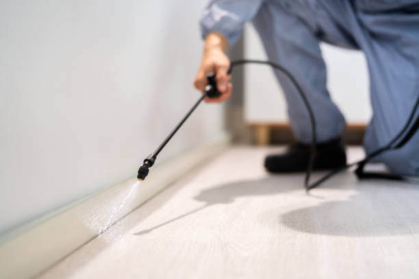 Licensed Termite Control service in Anadarko, OK - Nex Pest Control