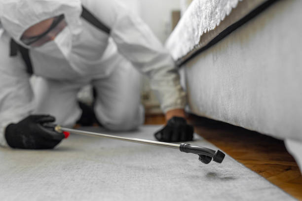 Professional Termite Control technician working in Anadarko, OK