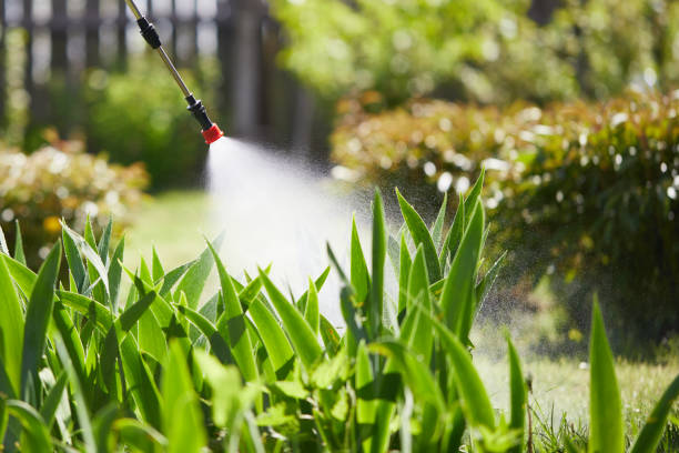 24/7 Emergency Termite Control experts in Anadarko, OK