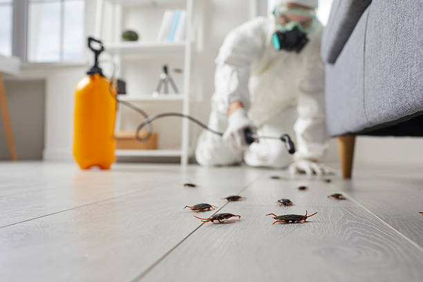 Trusted Termite Control service in Anadarko, OK - Nex Pest Control