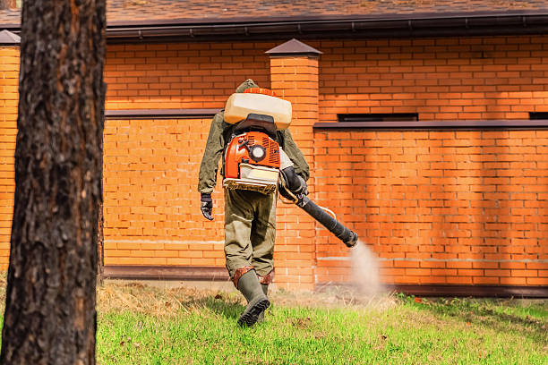 Trusted Emergency Pest Control service in Anadarko, OK - Nex Pest Control